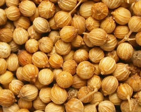 Coriandolo